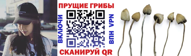 Галлюциногенные грибы прущие грибы купить наркоту Ртищево